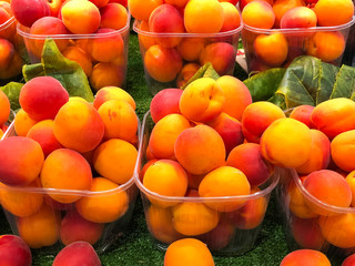 Nectarines in a transparent plastic box on a supermarket shelf