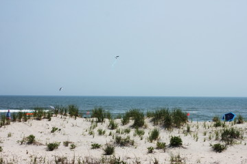 View of Sand Dunes at Ocean City New Jersey