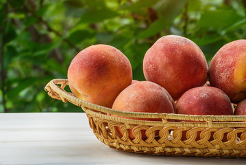 Ripe peaches in a wicker basket, green garden on the background. Close-up. Fruit season