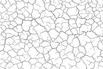 The cracks texture white and black. Vector background.Cracked earth. Structure of cracking. Cracks in dry surface soil texture. shards