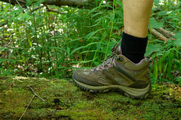 leg and hiking boot on a mossy log