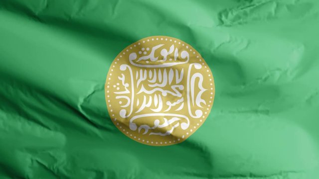 Seamless Looping flag of Rohingya, blowing beautifully in the wind. Slow  Motion. Rohingya flag animated 3D render 4K 60 FPS