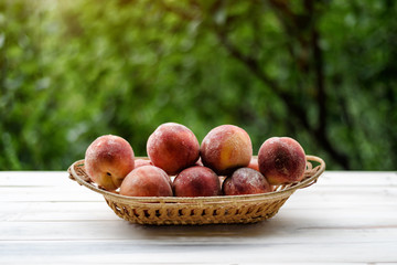 Ripe peaches in a wicker basket, green garden on the background. Fruit season