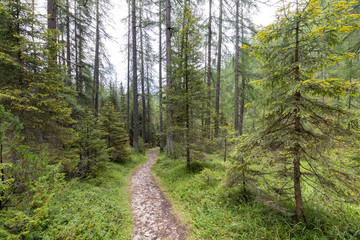 Fototapeta premium Dolomites - Cortina D'Ampezzo - Italy