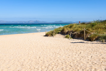 Fototapeta premium Playa de Muro beach located next to the most popular Alcudia beach in Mallorca