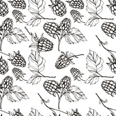Vector Raspberry healthy food isolated. Black and white engraved ink art. Seamless background pattern.