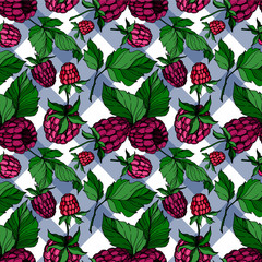 Vector Raspberry healthy food isolated. Black and white engraved ink art. Seamless background pattern.