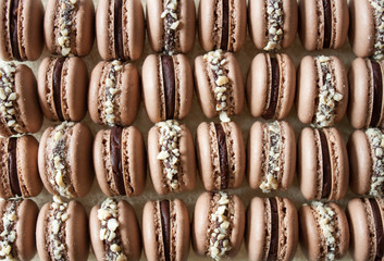 Chocolate macarons background.