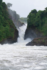 Powerful Murchison Falls are beautifully embedded in nature but threatened by a Chinese dam project, Murchinson Falls National Park, Uganda, Africa.