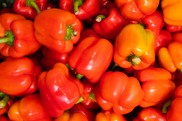 Red bell peppers in pile background. Cooking, conservation and agriculture. Top view.