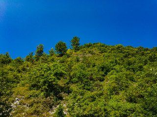 Fototapeta premium The top of the mountain, covered with green wooded vegetation against a bright blue cloudless sky in summer on a sunny day.