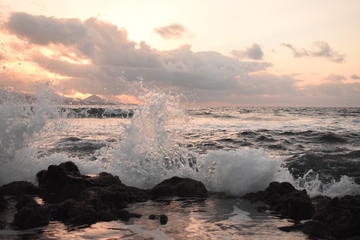 olas
