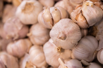 Pile of white garlic heads close-up. Garlic texture, meat dish ingredient.