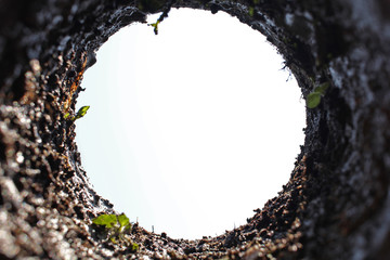 Hoyo profundo bajo tierra para plantar árbol