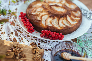 Delicios homemade apple pie on a plate