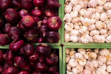 Organic garlic heads on left and purple onions on right of photo. Vegetable background, topview, flatlay