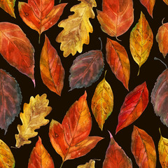Watercolor illustration, pattern. Autumn leaves on a brown background