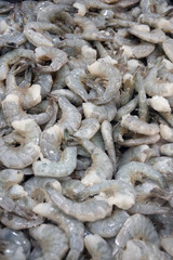 Close-up full frame view of large raw gray shrimps displayed at a market stand