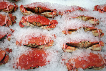 Obraz na płótnie Canvas Close-up full frame view of crabs on ice displayed at a market stand