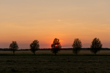 Sunset at Nature Reserve in Schulzendorf, Brandenburg, Germany