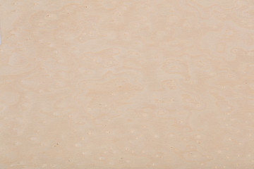 Elegant maple veneer background in natural light color. High qua