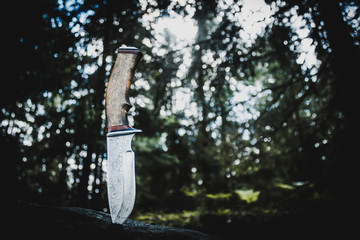 hunting knife in a tree trunk