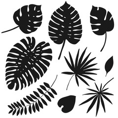 set of hand drawn silhouettes of tropical leaves, vector