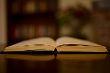 An open old book on a table in a dark library, study, on the background of blurry shelves and a vase of flowers.