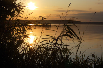 Sunset river horizon silhouette branch landscape. River sunset horizon.