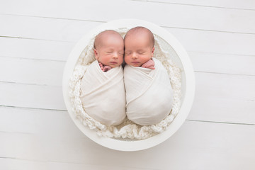  twins. newborn boys twins. newborn photo shoot - obrazy, fototapety, plakaty
