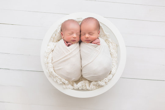 15 750 Best Twin Baby Girls Images Stock Photos Vectors Adobe Stock