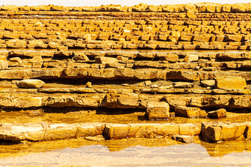 日南海岸にある波状岩