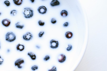 fresh blueberries with milk