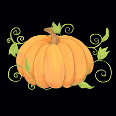 Punpkin with leaves on black background