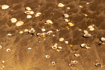 砂浜に書いたメッセージ5