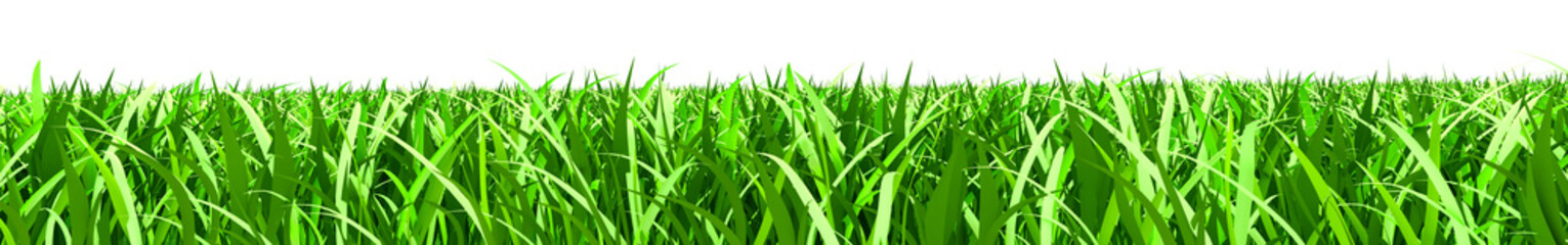 Green grass on white background. 3d rendering