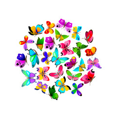 Beautiful colorful butterflies