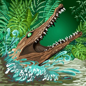 Crocodile Alligator Attack coming out from the Rainforest River Vector illustration 