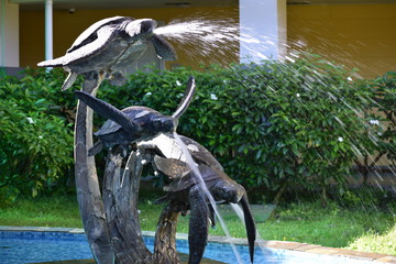 Bocas del Toro Panamá