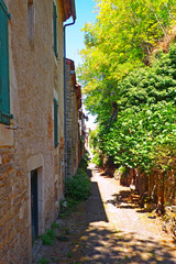 Fototapeta na wymiar an alley of Cordes sur Ciel, old medieval village elected favorite village of french, in the Tarn department in the Occitan region