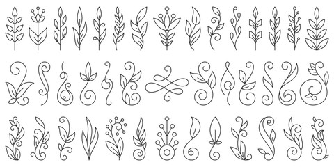 Floral Branch ornamebt simple line icon vector set