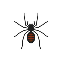 Spider insect tarantula single flat vector icon