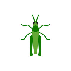 Grasshopper insect cricket single flat vector icon