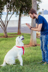 Master and her obedient (Golden Retriever) dog
