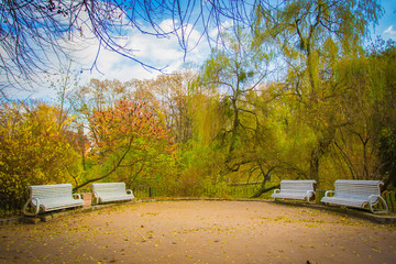 golden autumn, perfect period of time, golden fall, autumn in the park, countryside, white bench in the park