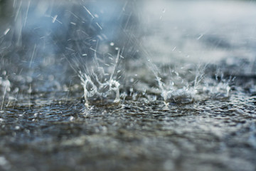 raindrops on a puddle form a spray