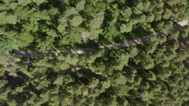 Black jdm car moving on countryside highway among green forest drone view. Aerial view japanese car riding on asphalt road. Summer travel on car on natural landscape