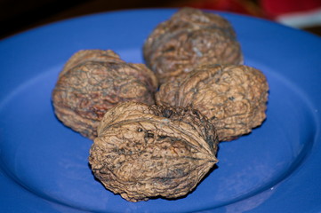 A group of big, fresh and healthy wallnuts closeup 