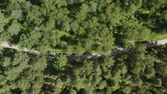 Black car moving on countryside highway among green forest drone view. Aerial view japanese car riding on asphalt road. Summer travel on car on natural landscape