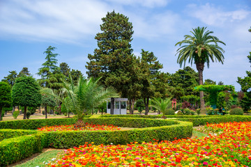 Colorful flowers in park in front of Batumi State University, Georgia.